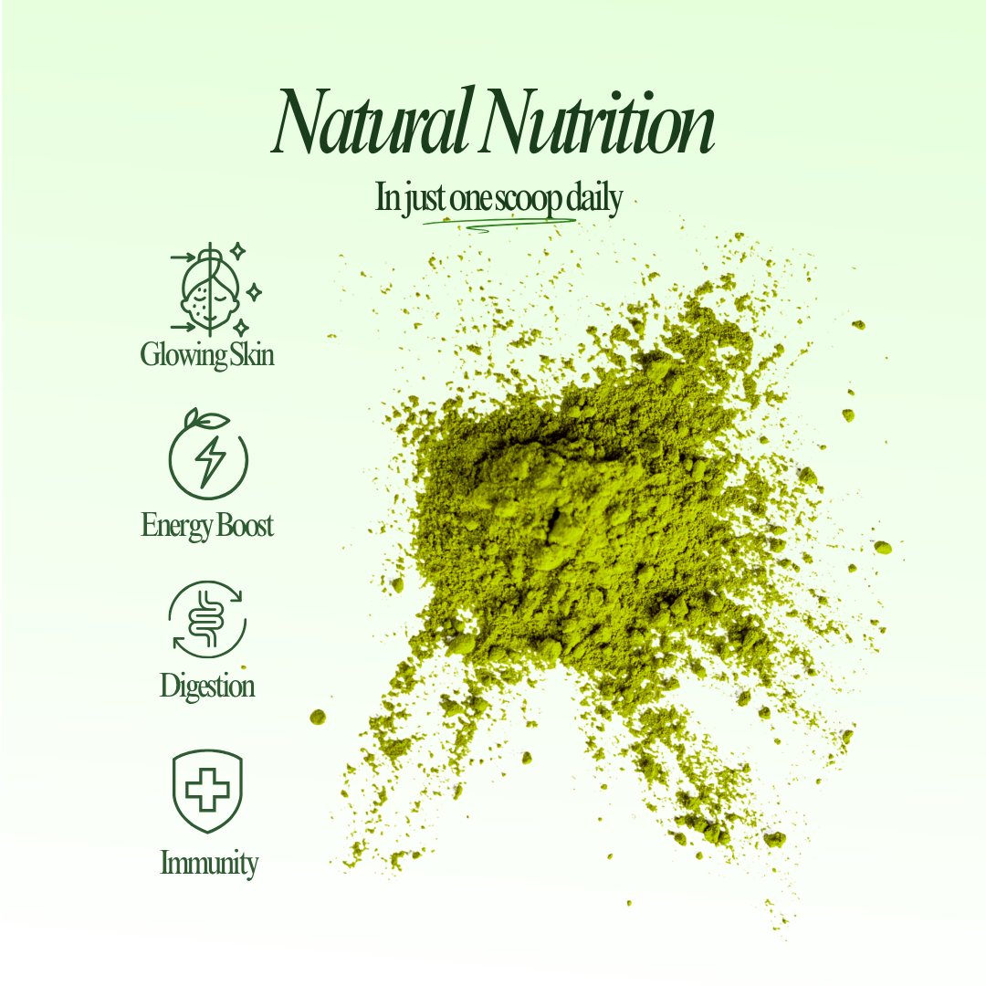 GoFitt Greens Elixir Powder