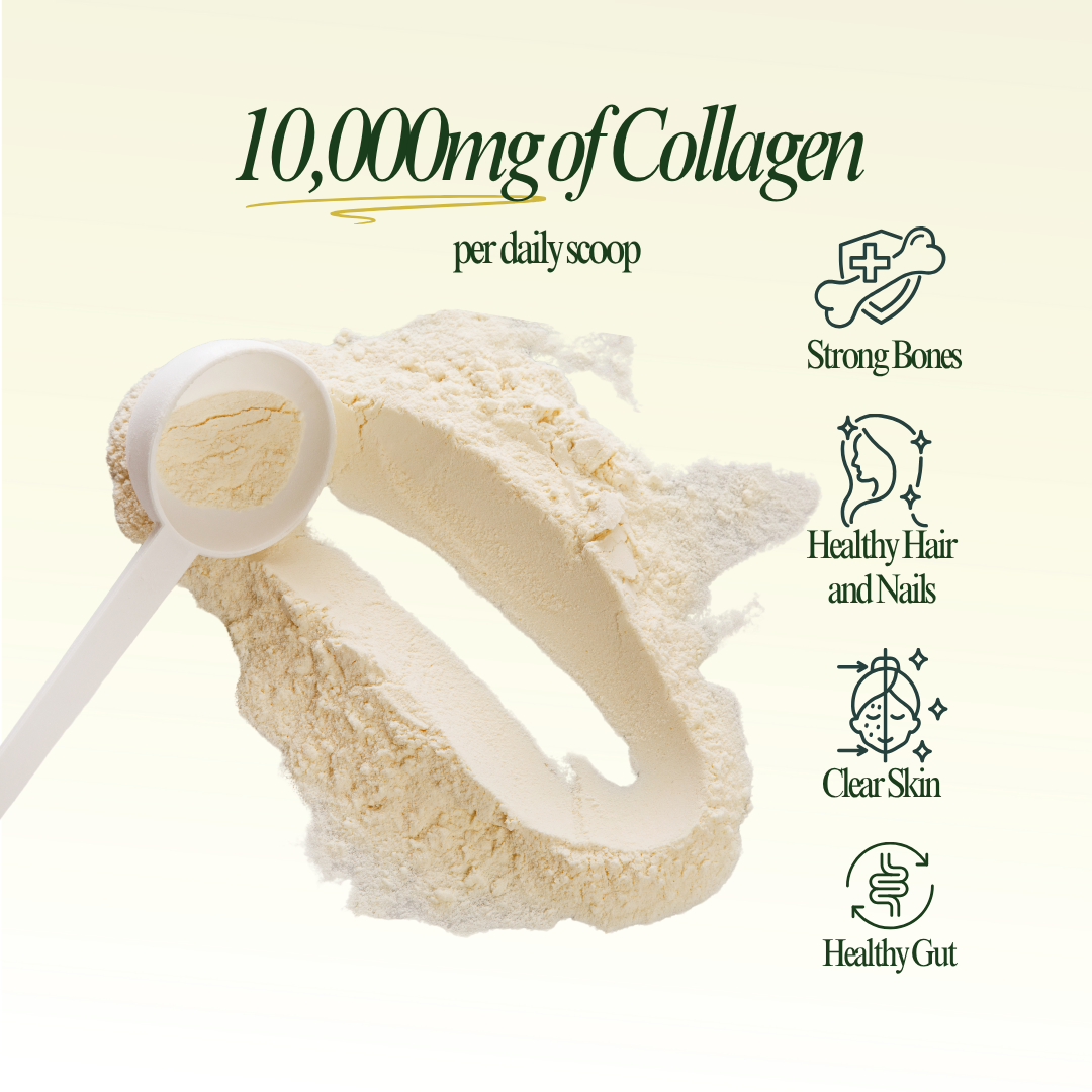 GoFitt Multi Collagen Elixir Powder